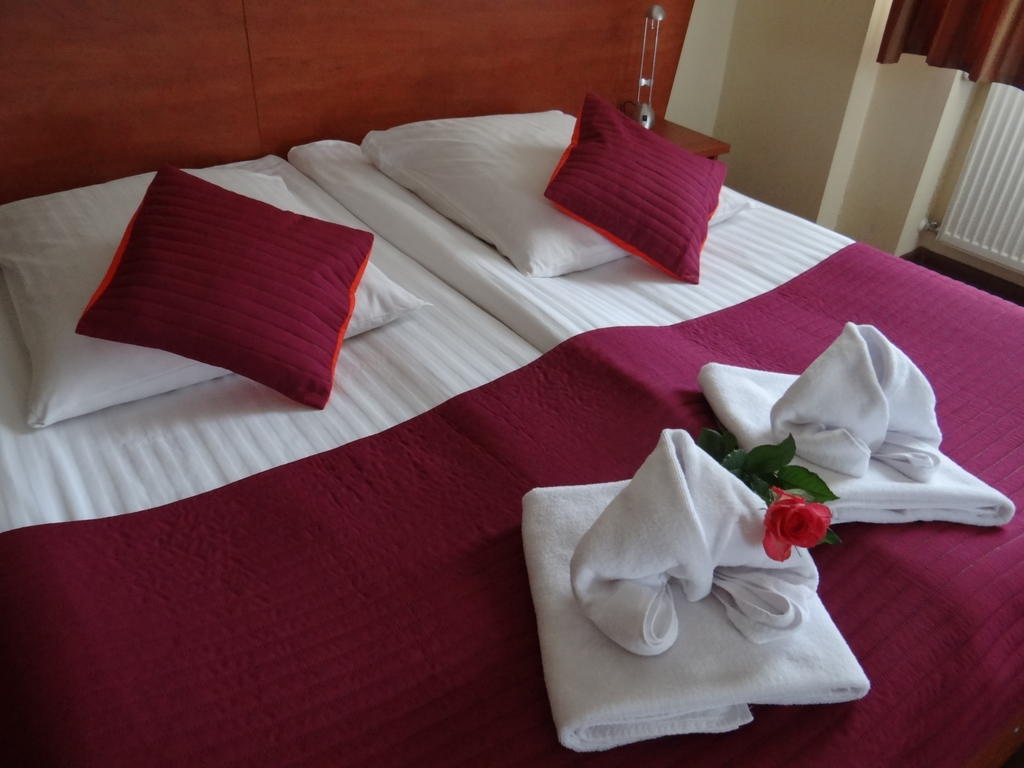 Hotel Restauracja Kinga Катовице Экстерьер фото
